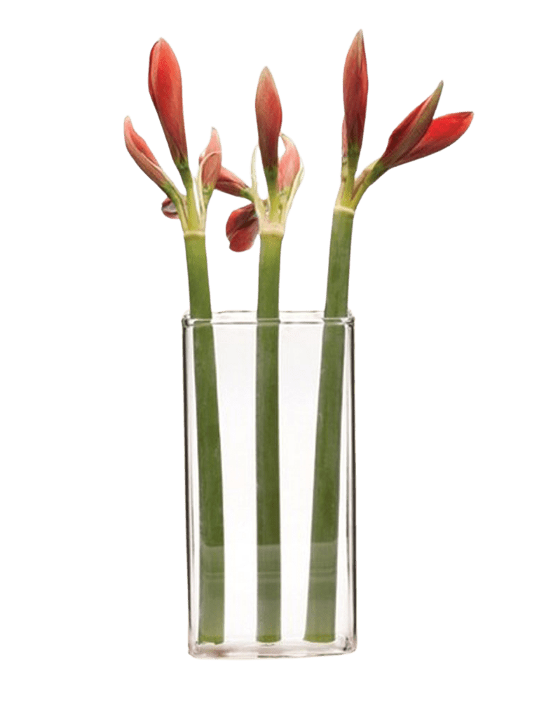 Wall Brick Glass Modern Clear Flower Vase - Chive Ceramics Studio - Vases - Chive Ceramics Studio