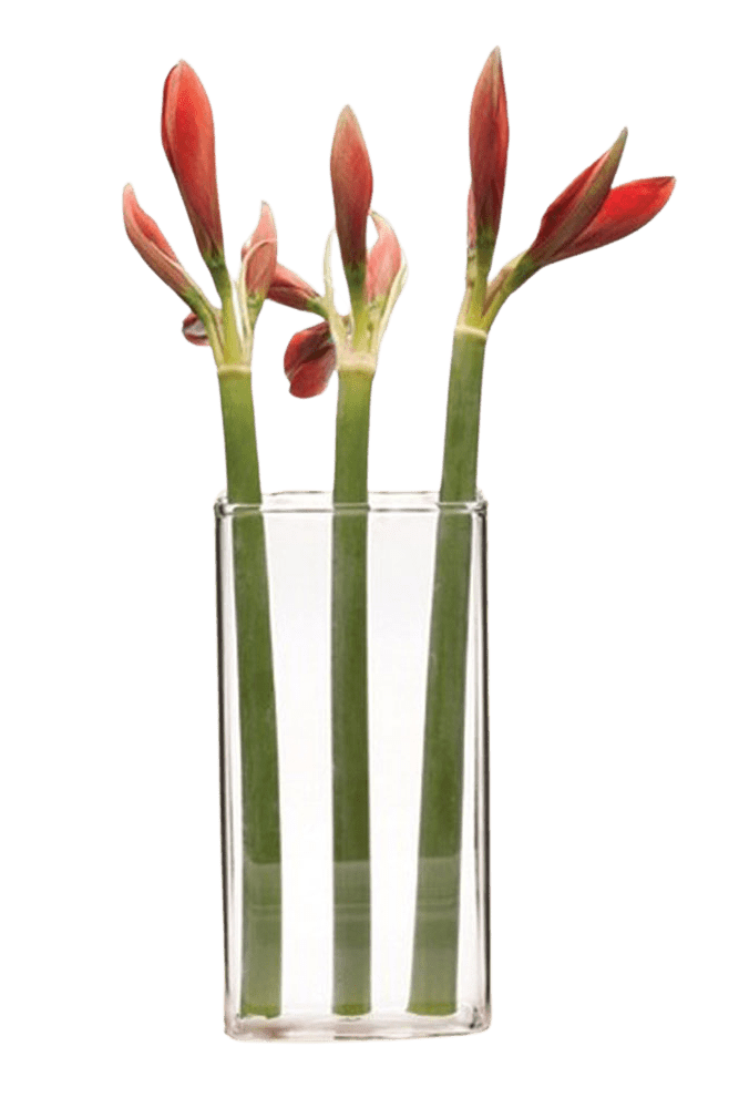 Wall Brick Glass Modern Clear Flower Vase - Chive Ceramics Studio - Vases - Chive Ceramics Studio