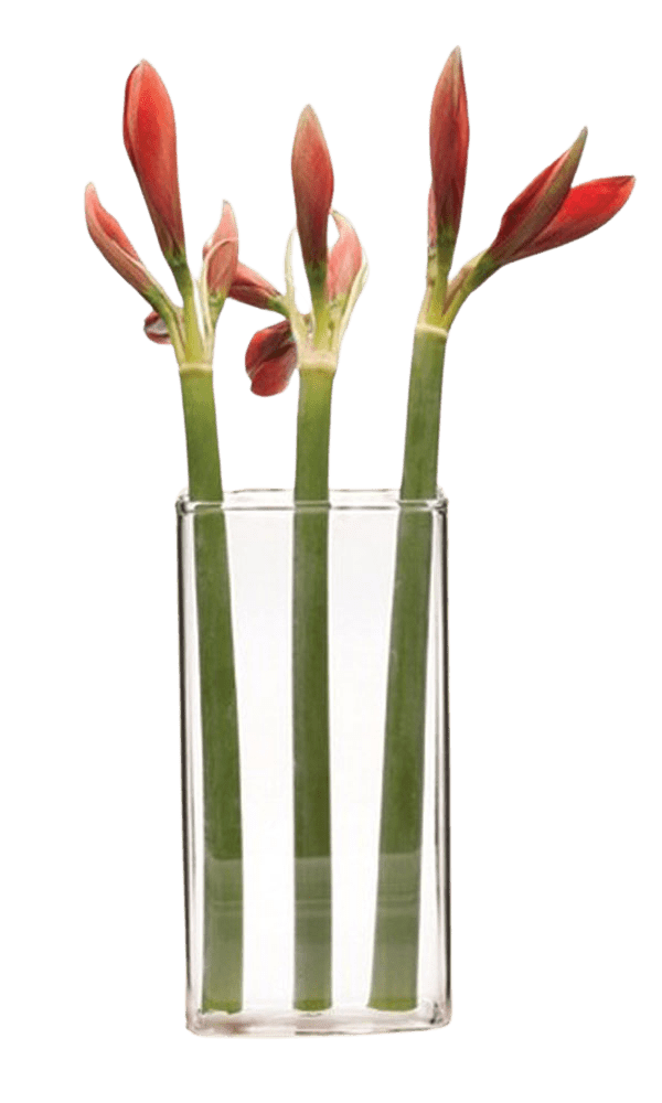 Wall Brick Glass Modern Clear Flower Vase - Chive Ceramics Studio - Vases - Chive Ceramics Studio