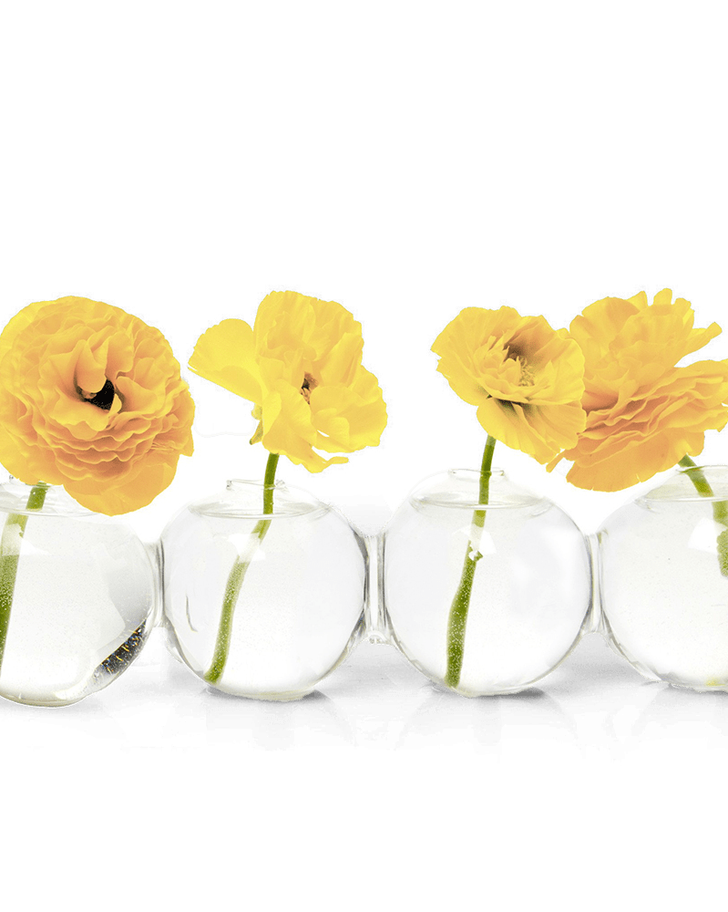 Caterpillar Glass Modern Clear Flower Vase - Chive Ceramics Studio - Vases - Chive Ceramics Studio