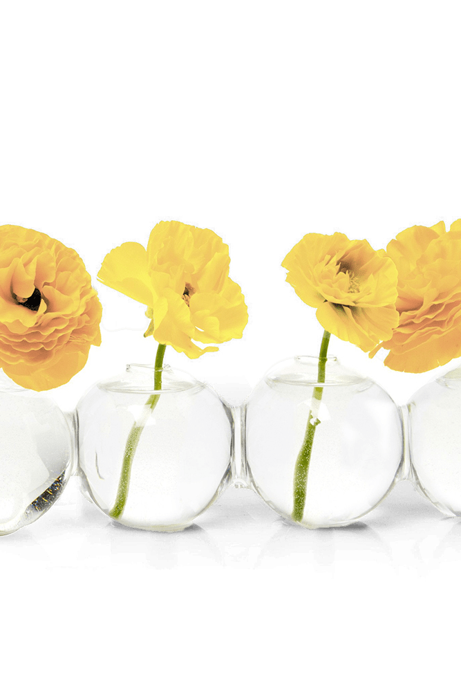 Caterpillar Glass Modern Clear Flower Vase - Chive Ceramics Studio - Vases - Chive Ceramics Studio