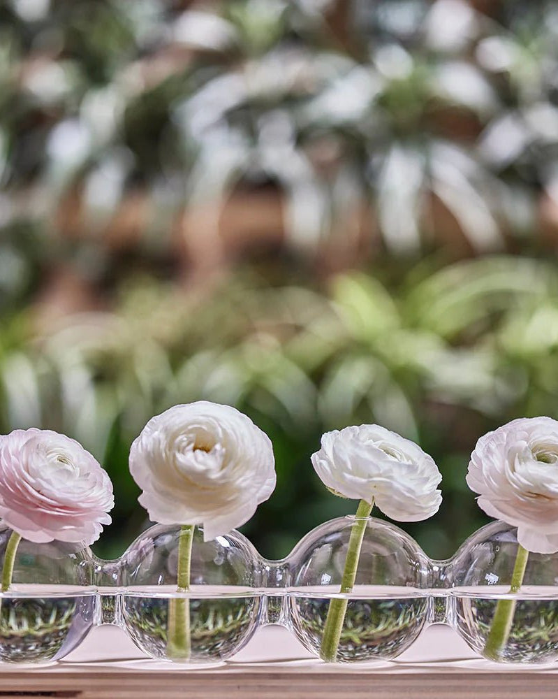 Caterpillar Glass Modern Clear Flower Vase - Chive Ceramics Studio - Vases - Chive Ceramics Studio