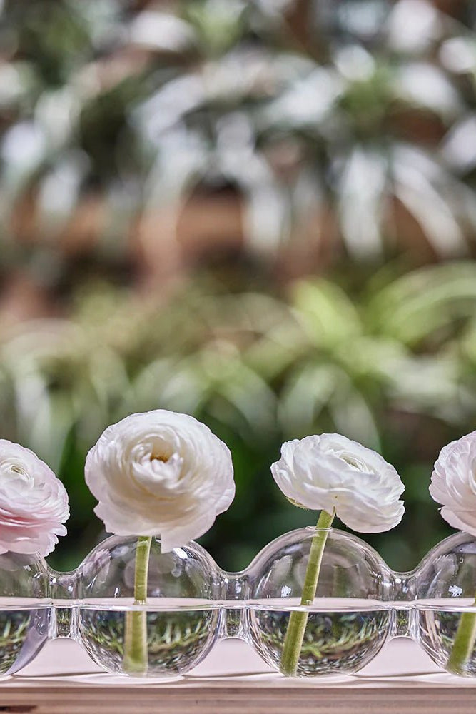 Caterpillar Glass Modern Clear Flower Vase - Chive Ceramics Studio - Vases - Chive Ceramics Studio