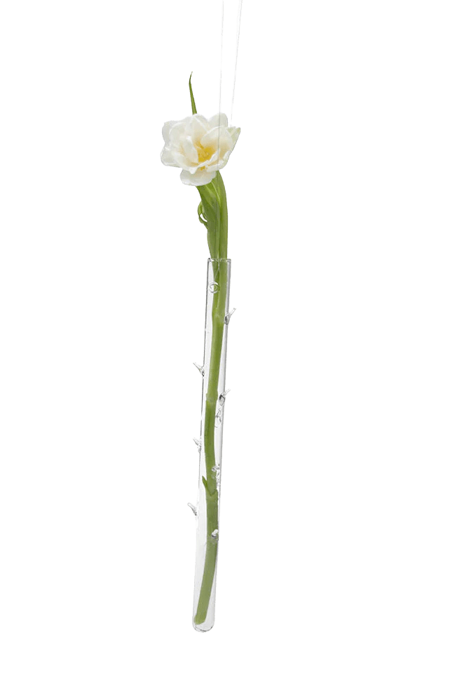 Hanging Thorn Glass Modern Clear Flower Vase - Chive Ceramics Studio - Vases - Chive US