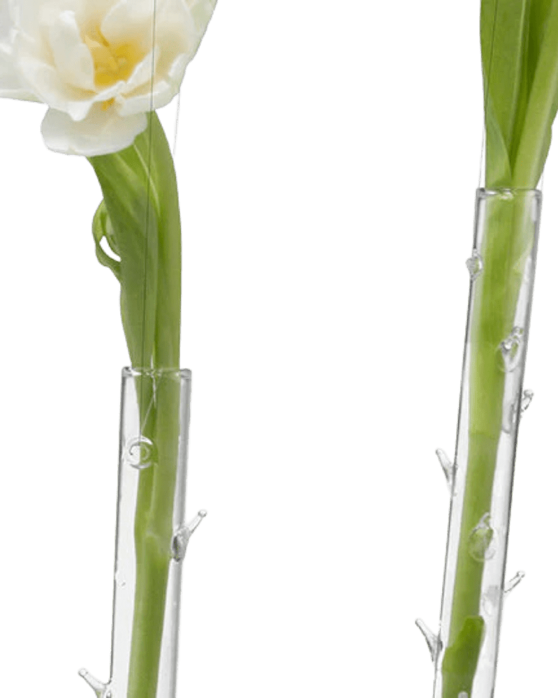 Hanging Thorn Glass Modern Clear Flower Vase - Chive Ceramics Studio - Vases - Chive US