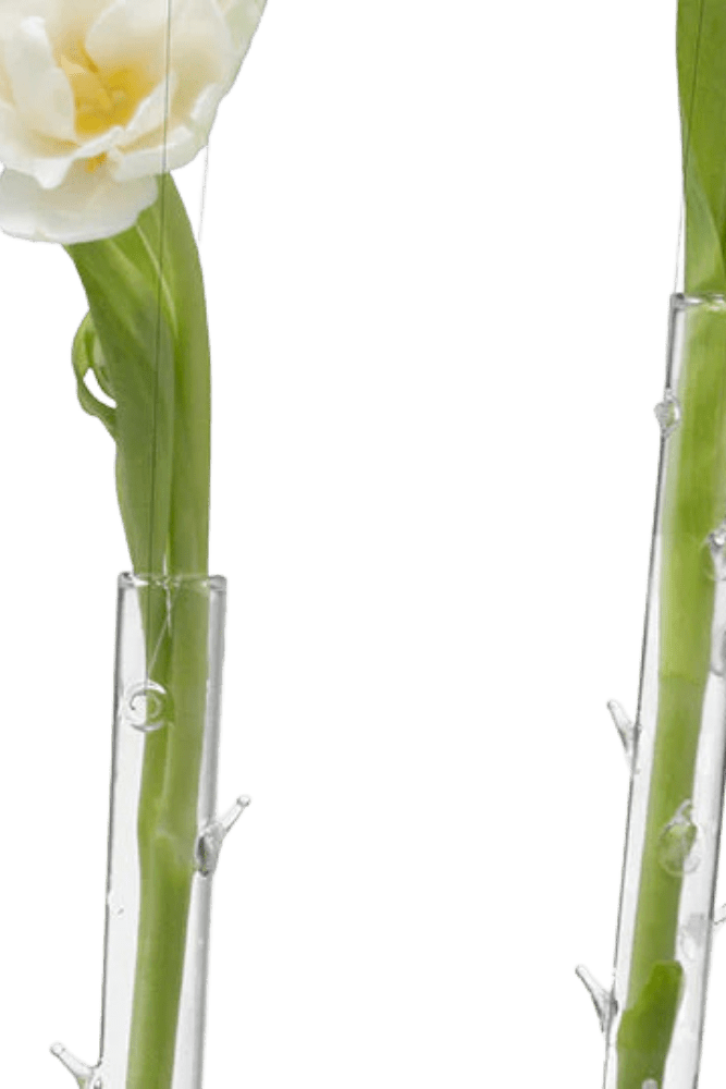 Hanging Thorn Glass Modern Clear Flower Vase - Chive Ceramics Studio - Vases - Chive US