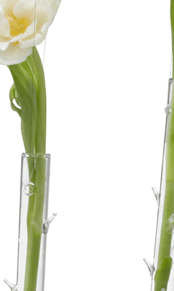 Hanging Thorn Glass Modern Clear Flower Vase - Chive Ceramics Studio - Vases - Chive US