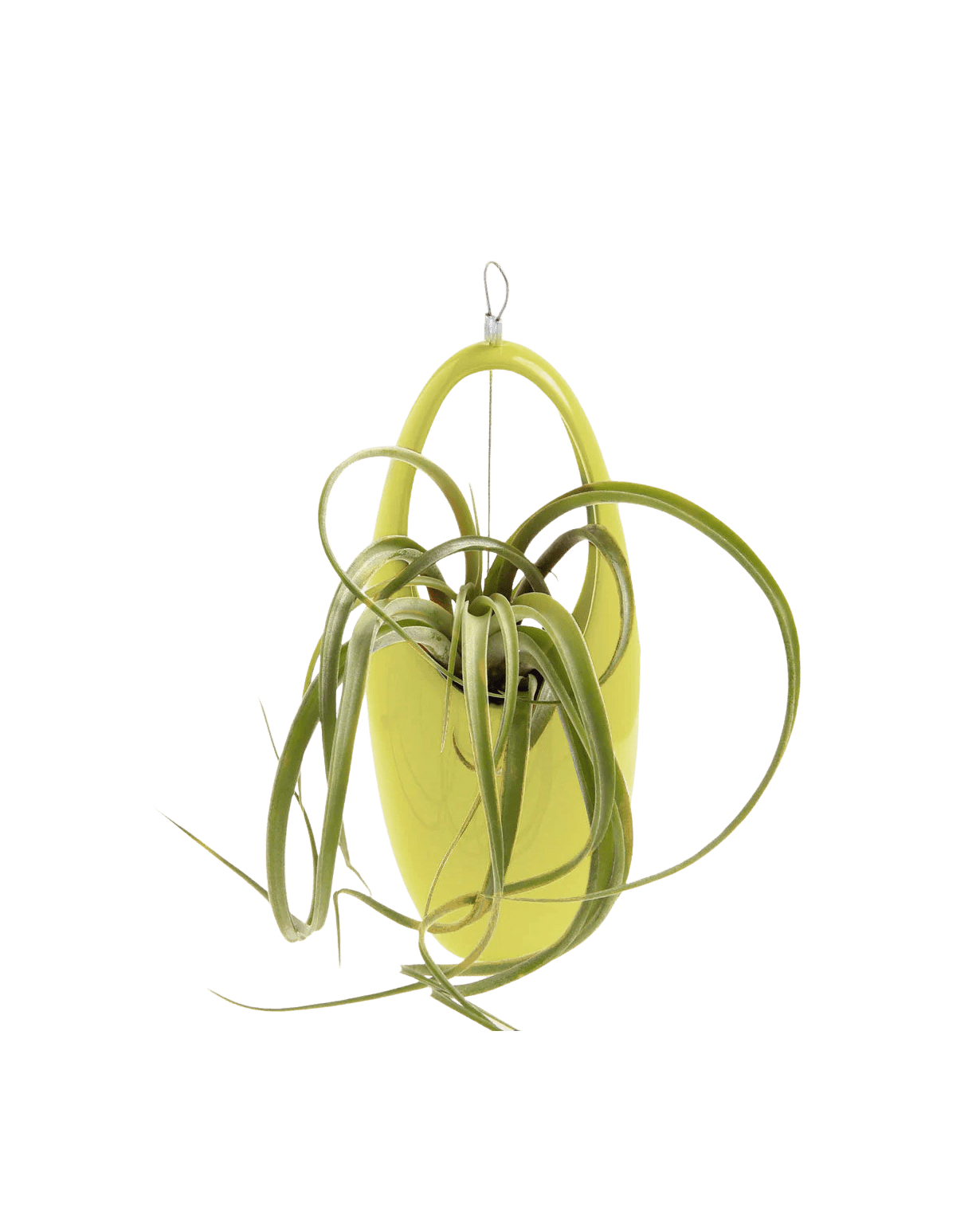 Hanging Aerium Ceramic For Succulents & Ikebana - Chive Ceramics Studio - Pots - Chive US
