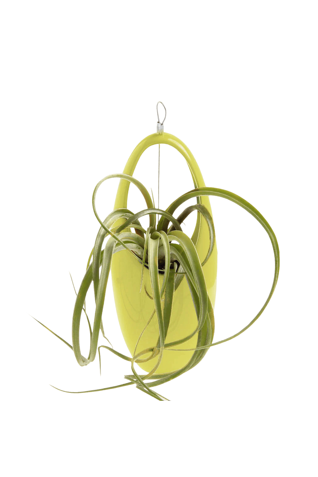 Hanging Aerium Ceramic For Succulents & Ikebana - Chive Ceramics Studio - Pots - Chive US