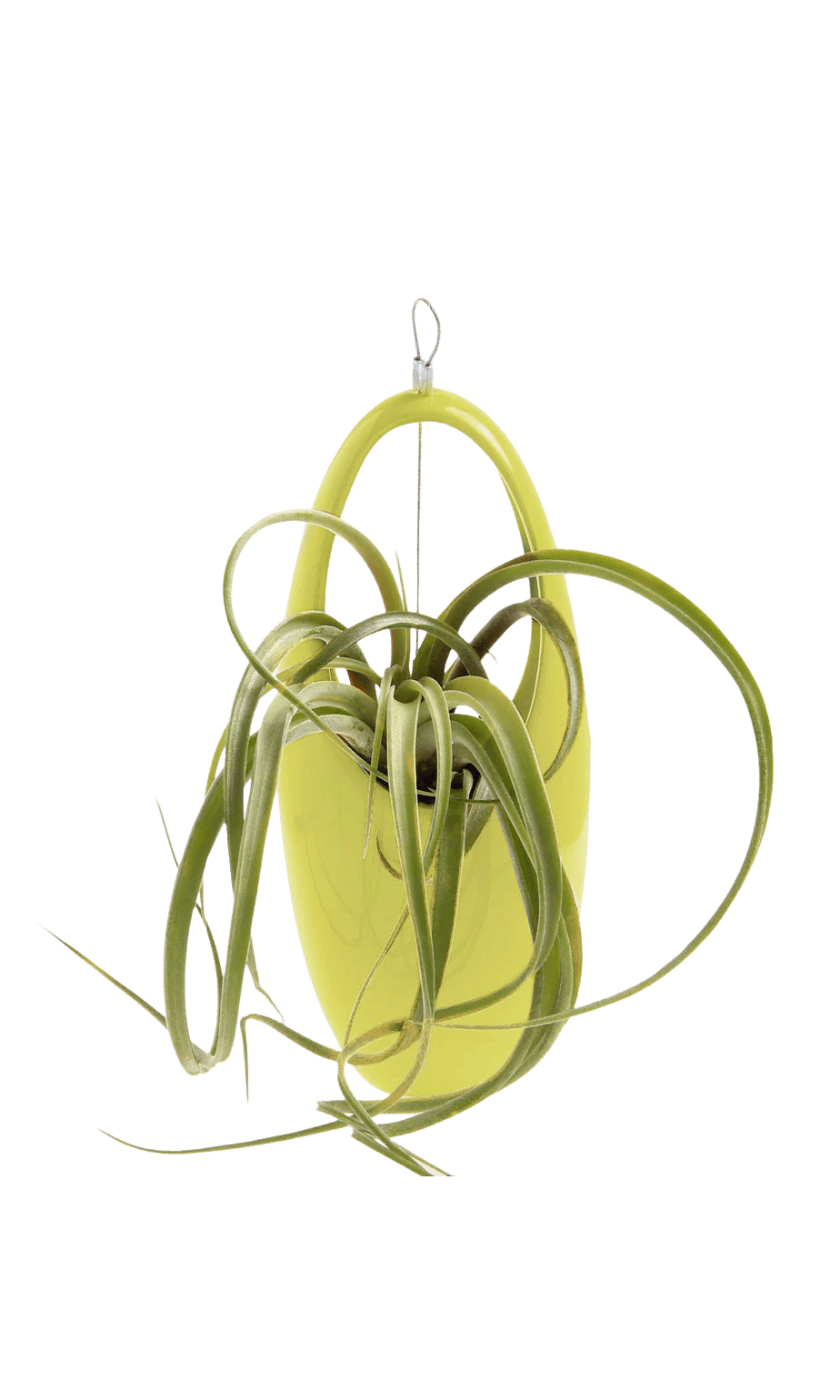 Hanging Aerium Ceramic For Succulents & Ikebana - Chive Ceramics Studio - Pots - Chive US