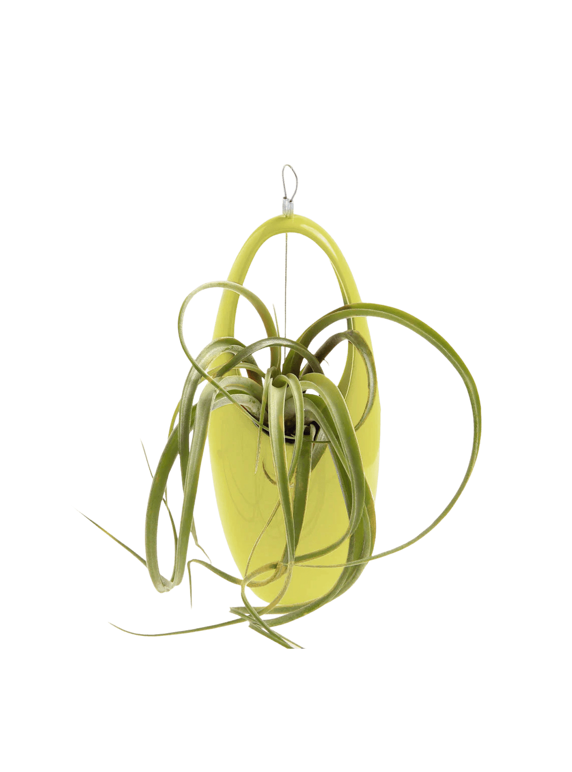 Hanging Aerium Ceramic For Succulents & Ikebana - Chive Ceramics Studio - Pots - Chive US