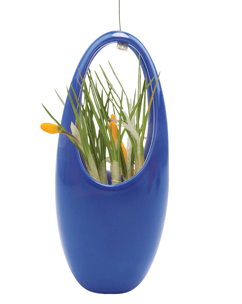 Hanging Aerium Ceramic For Succulents & Ikebana - Chive Ceramics Studio - Pots - Chive US