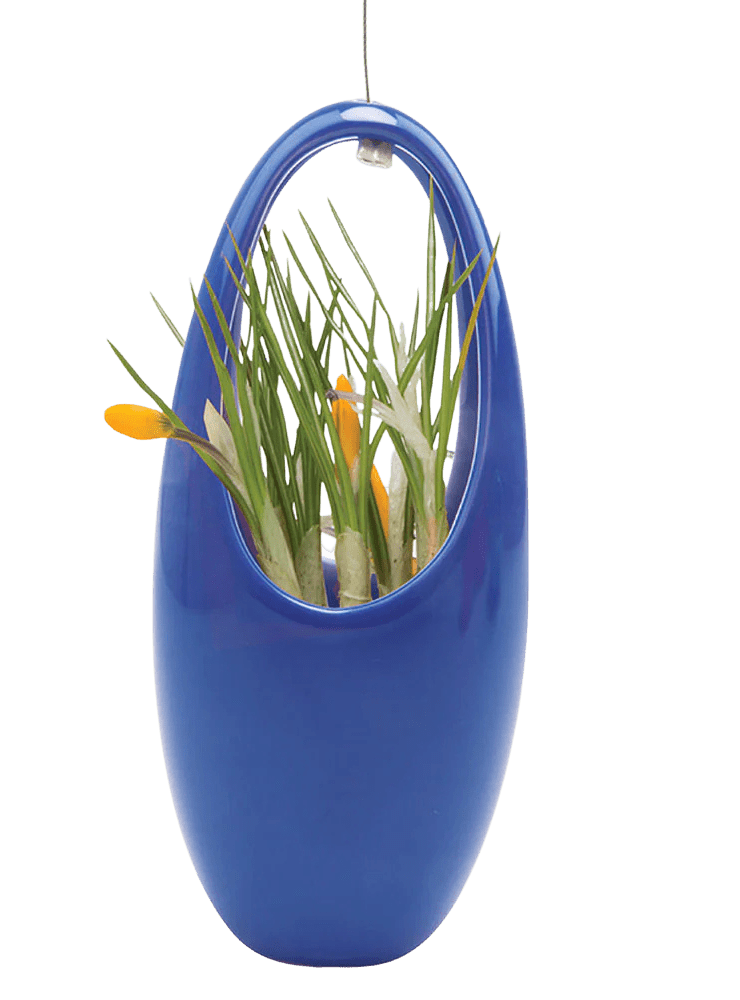 Hanging Aerium Ceramic For Succulents & Ikebana - Chive Ceramics Studio - Pots - Chive US