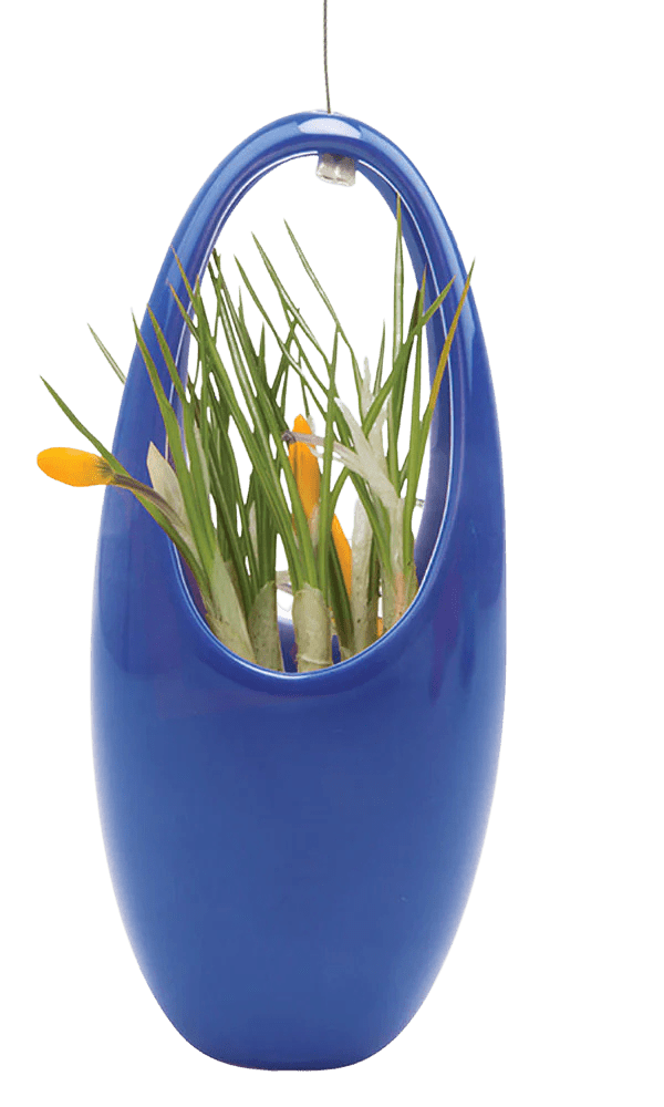 Hanging Aerium Ceramic For Succulents & Ikebana - Chive Ceramics Studio - Pots - Chive US