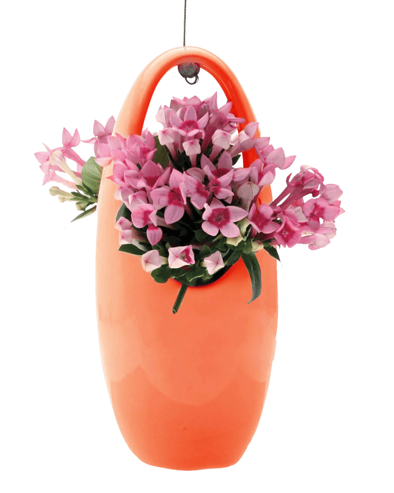 Hanging Aerium Ceramic For Succulents & Ikebana - Chive Ceramics Studio - Pots - Chive US