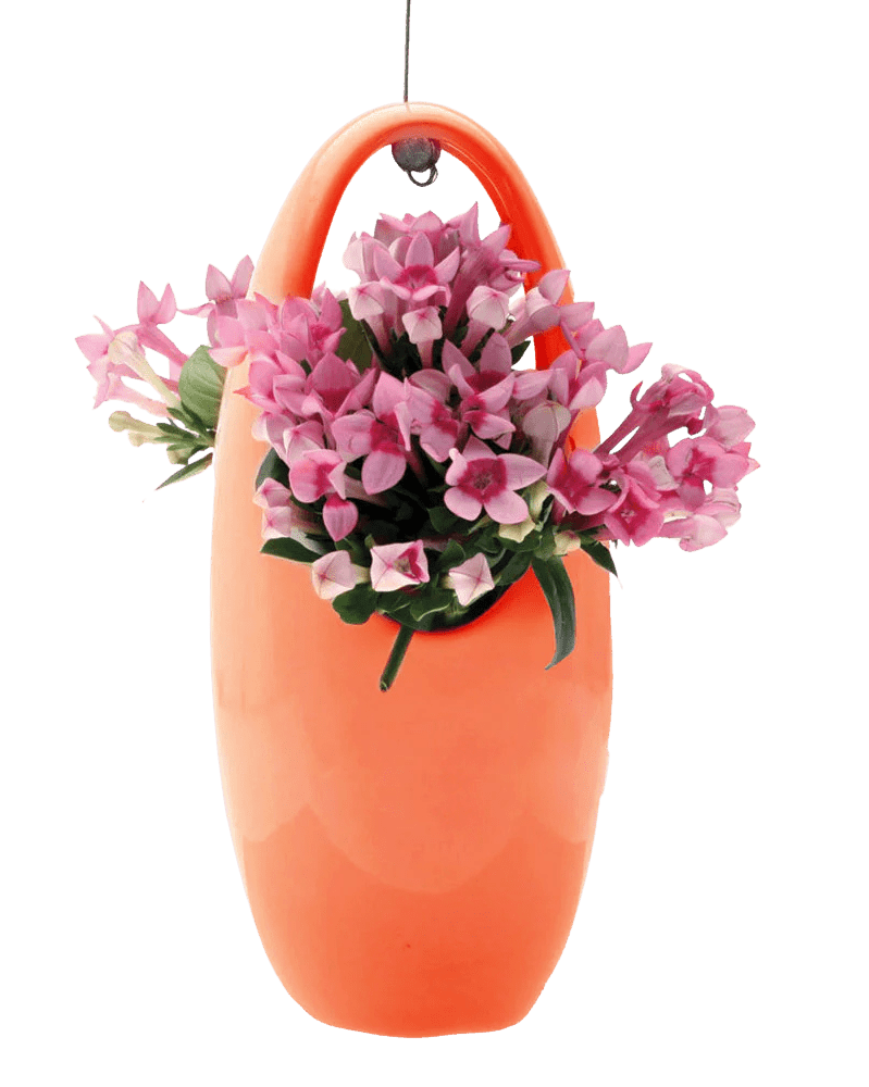 Hanging Aerium Ceramic For Succulents & Ikebana - Chive Ceramics Studio - Pots - Chive US