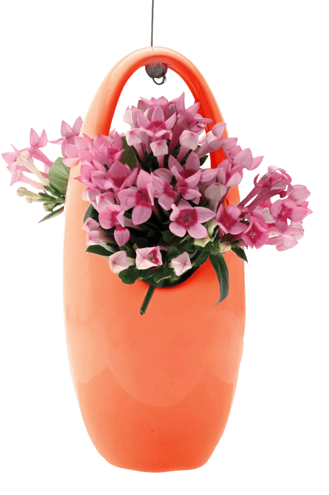 Hanging Aerium Ceramic For Succulents & Ikebana - Chive Ceramics Studio - Pots - Chive US