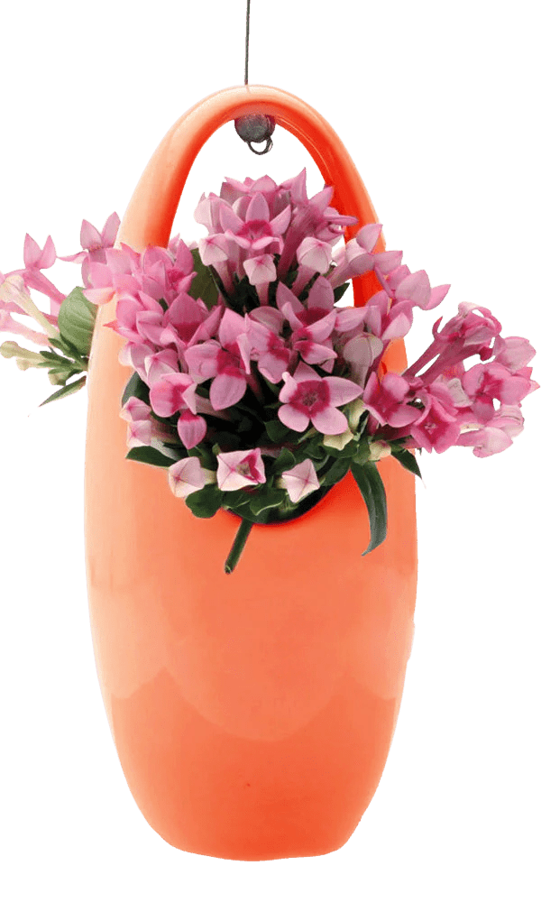 Hanging Aerium Ceramic For Succulents & Ikebana - Chive Ceramics Studio - Pots - Chive US