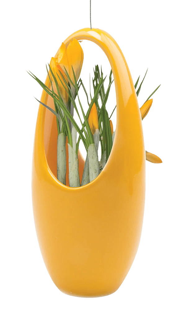 Hanging Aerium Ceramic For Succulents & Ikebana - Chive Ceramics Studio - Pots - Chive US