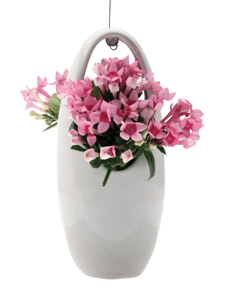 Hanging Aerium Ceramic For Succulents & Ikebana - Chive Ceramics Studio - Pots - Chive US