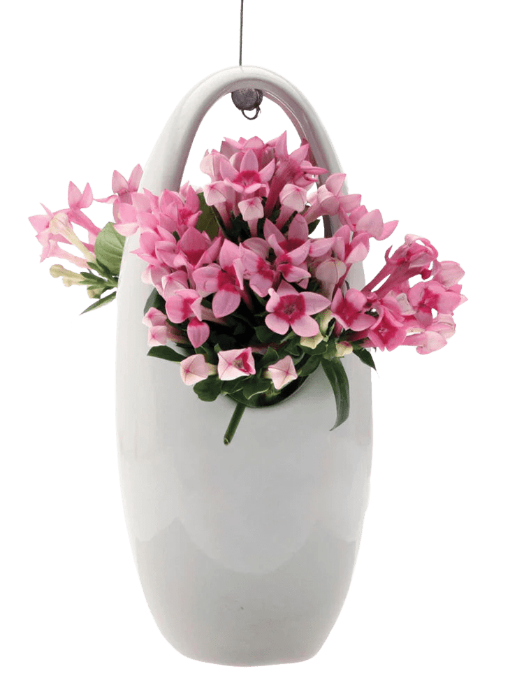 Hanging Aerium Ceramic For Succulents & Ikebana - Chive Ceramics Studio - Pots - Chive US