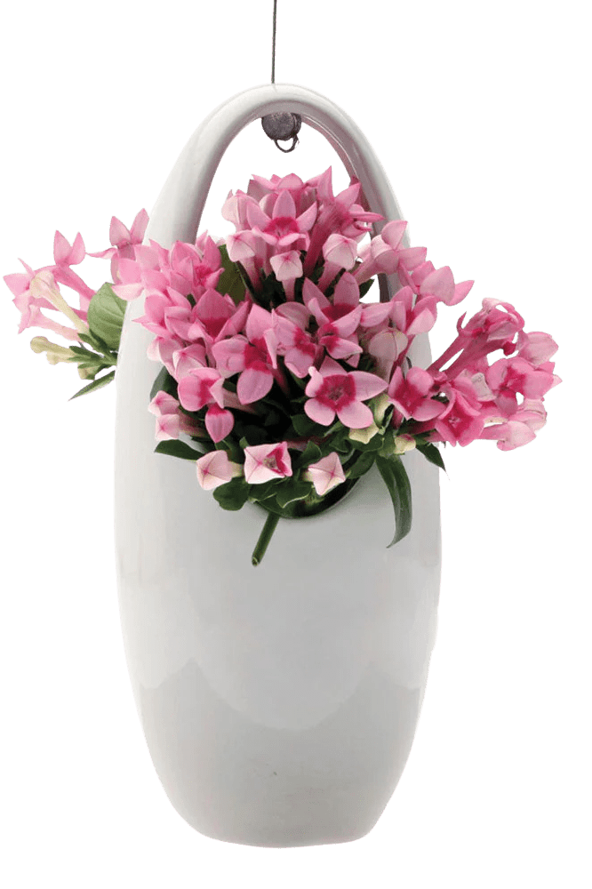 Hanging Aerium Ceramic For Succulents & Ikebana - Chive Ceramics Studio - Pots - Chive US