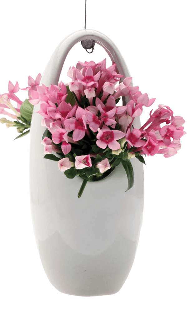 Hanging Aerium Ceramic For Succulents & Ikebana - Chive Ceramics Studio - Pots - Chive US