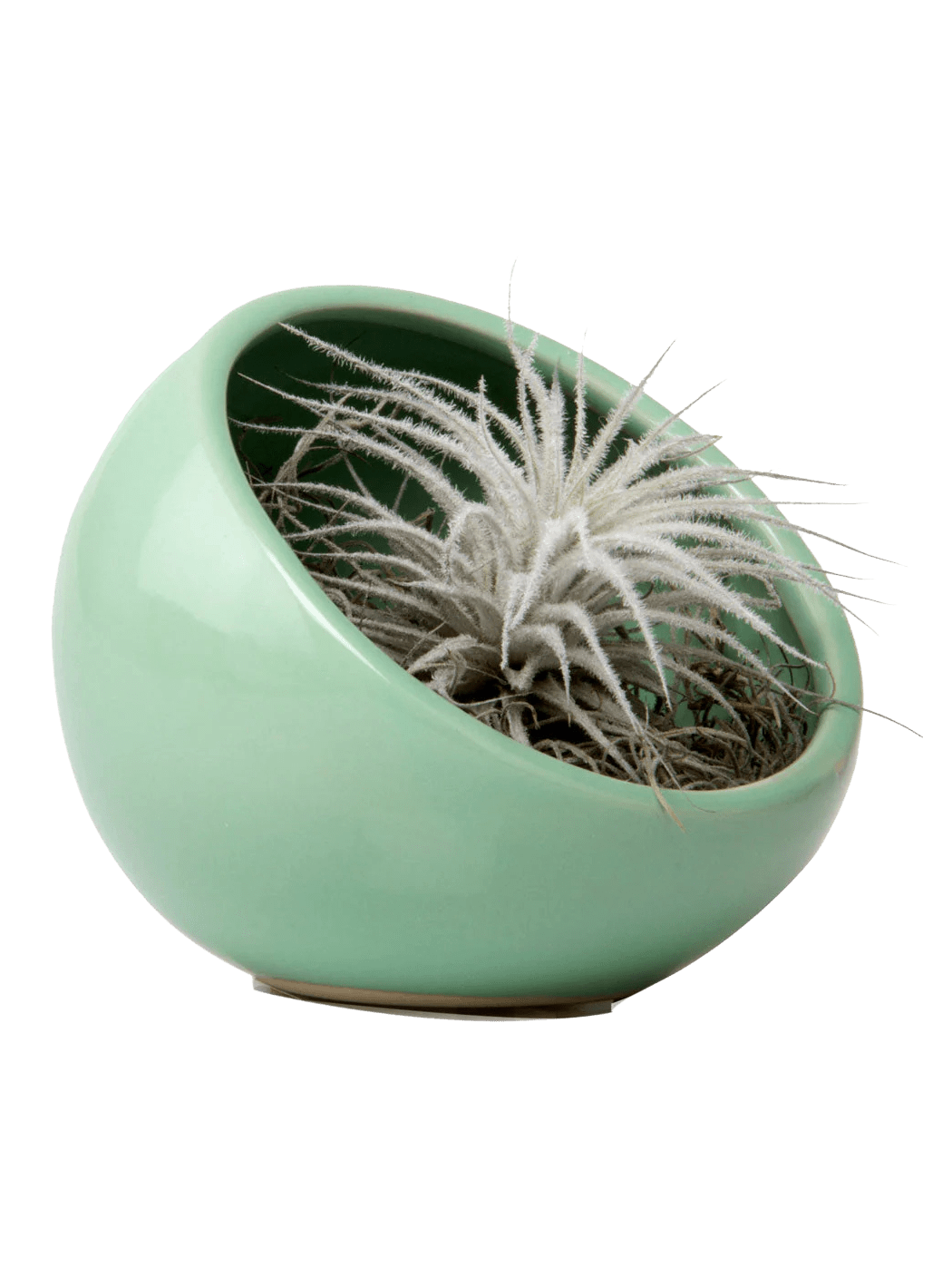 Half Moon Ceramic Terrarium Bowl - Chive Ceramics Studio - Pots - Chive US