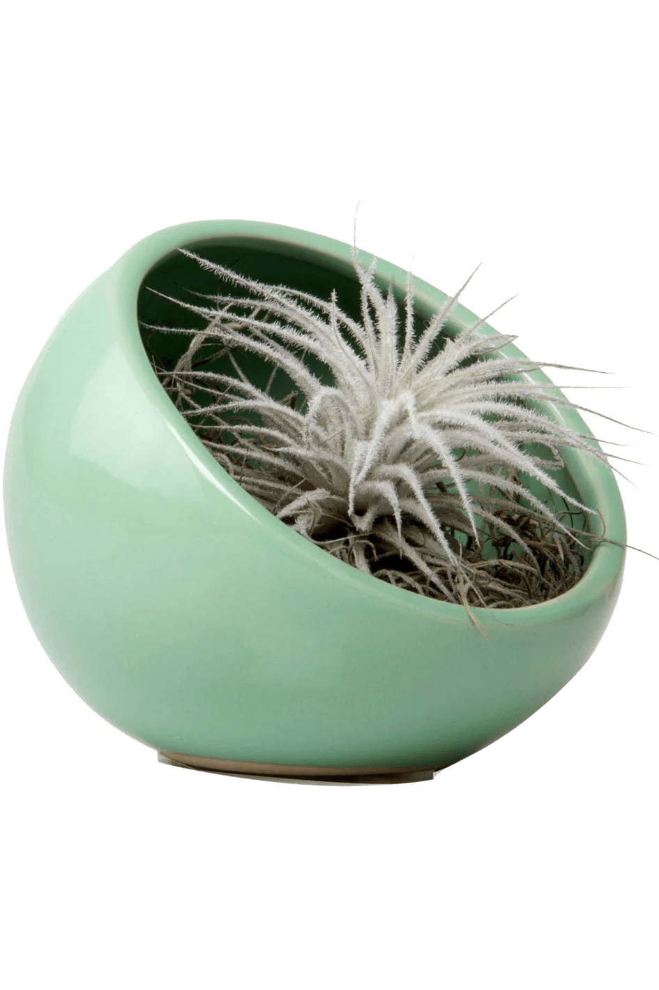 Half Moon Ceramic Terrarium Bowl - Chive Ceramics Studio - Pots - Chive US