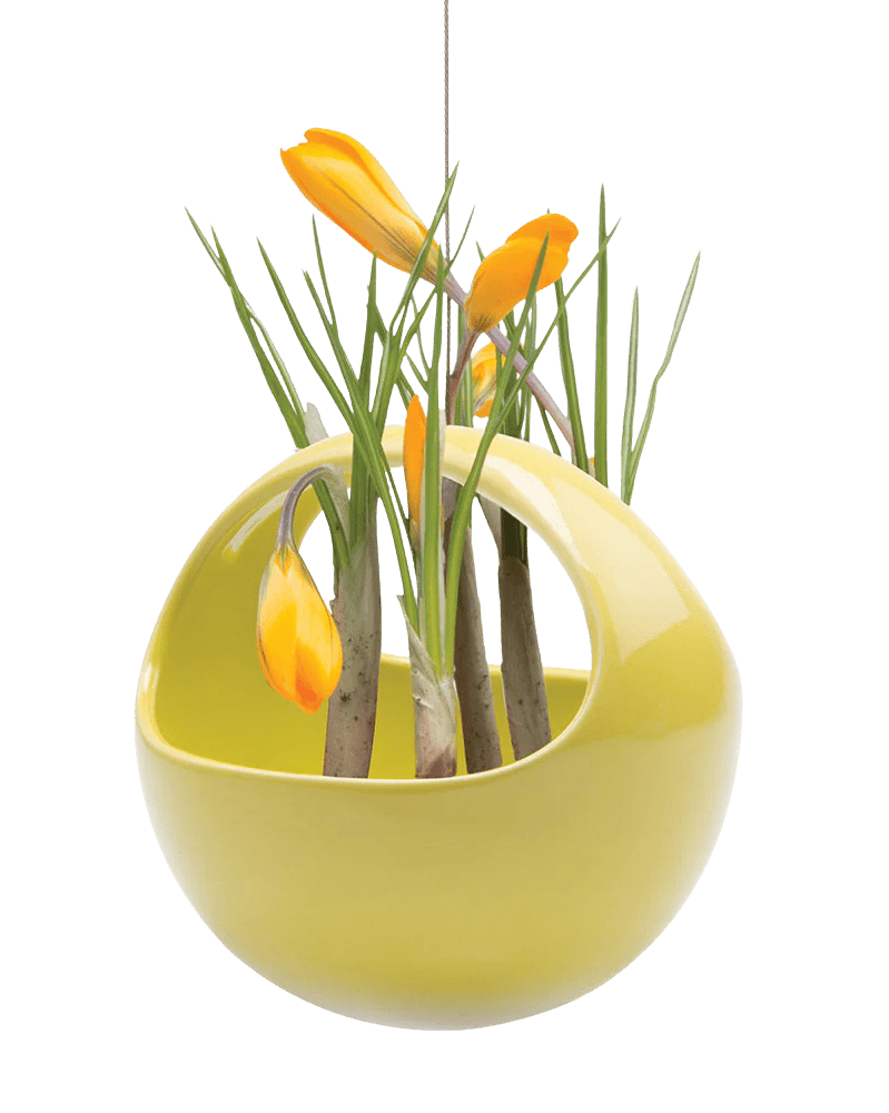 Hanging Aerium Ceramic For Succulents & Ikebana - Chive Ceramics Studio - Pots - Chive US