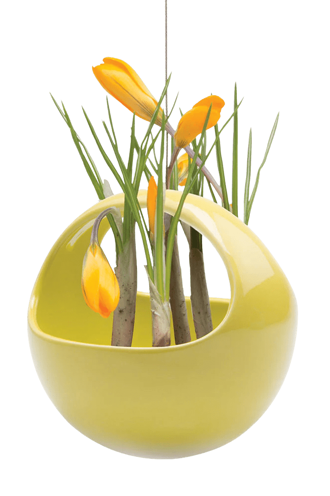 Hanging Aerium Ceramic For Succulents & Ikebana - Chive Ceramics Studio - Pots - Chive US