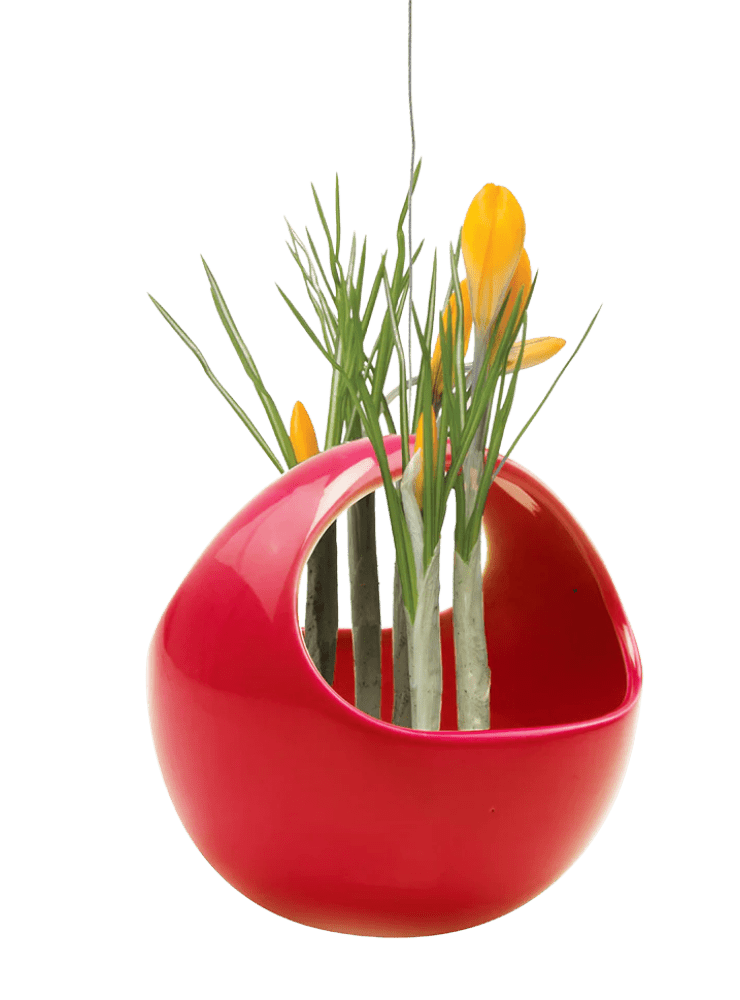 Hanging Aerium Ceramic For Succulents & Ikebana - Chive Ceramics Studio - Pots - Chive US