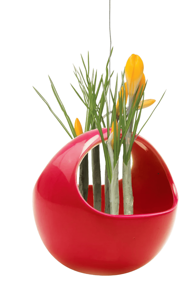 Hanging Aerium Ceramic For Succulents & Ikebana - Chive Ceramics Studio - Pots - Chive US