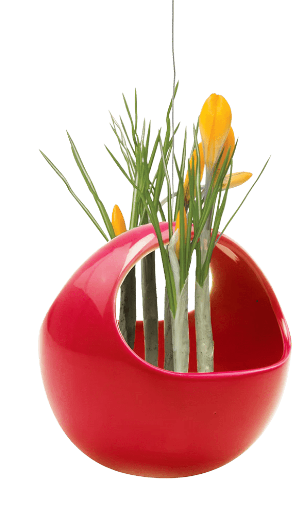 Hanging Aerium Ceramic For Succulents & Ikebana - Chive Ceramics Studio - Pots - Chive US