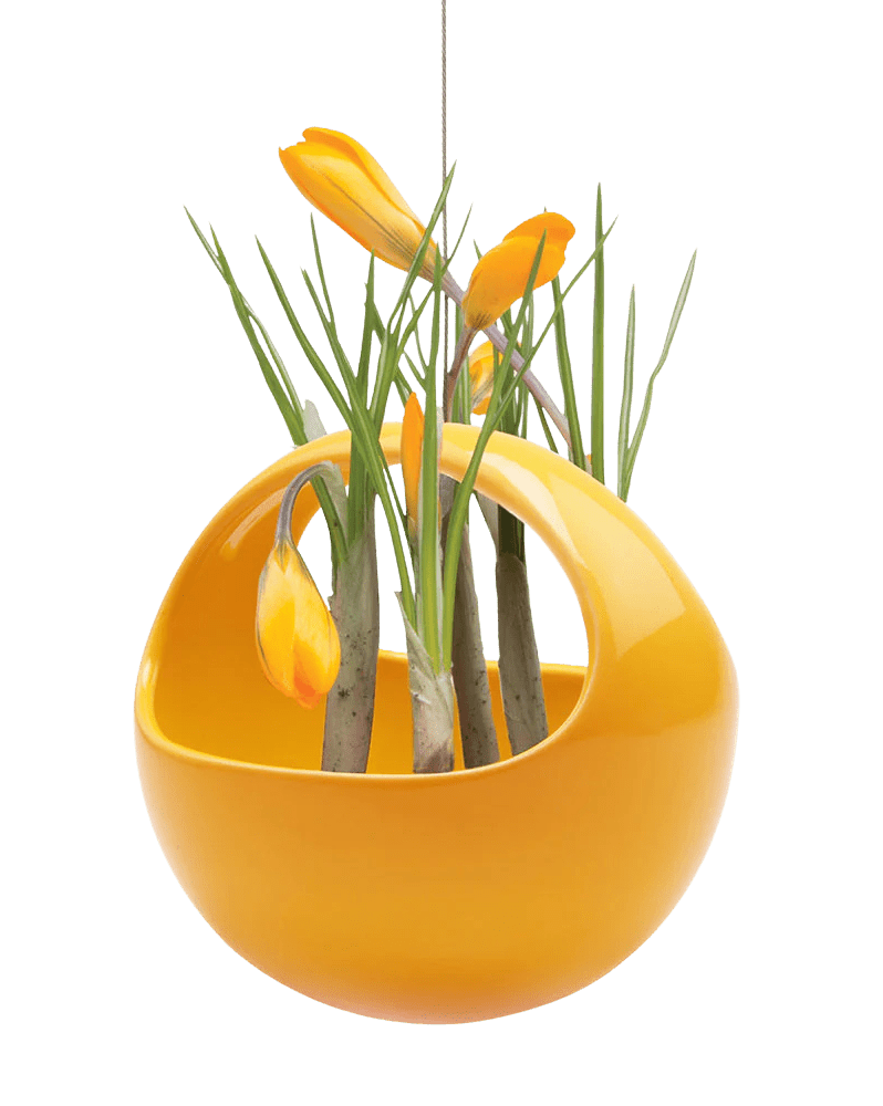 Hanging Aerium Ceramic For Succulents & Ikebana - Chive Ceramics Studio - Pots - Chive US