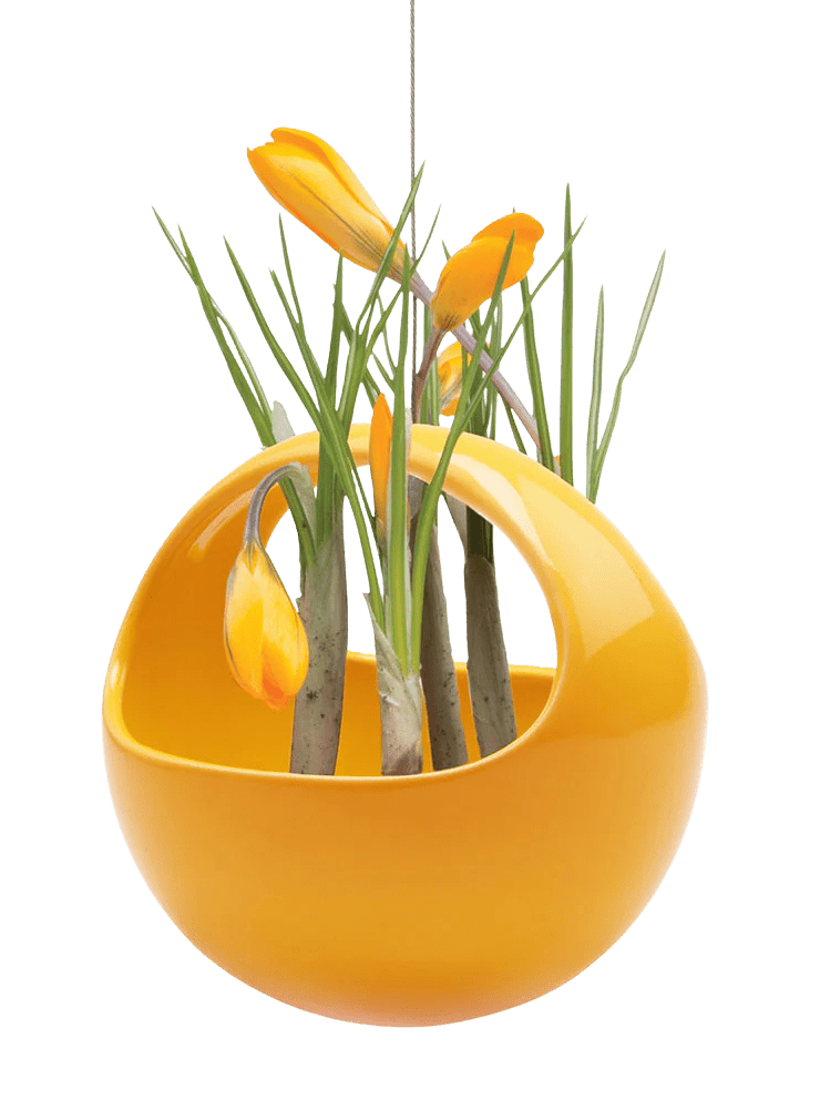 Hanging Aerium Ceramic For Succulents & Ikebana - Chive Ceramics Studio - Pots - Chive US