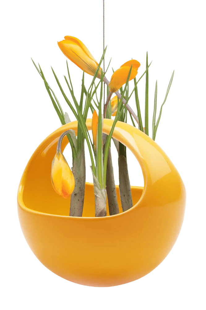 Hanging Aerium Ceramic For Succulents & Ikebana - Chive Ceramics Studio - Pots - Chive US