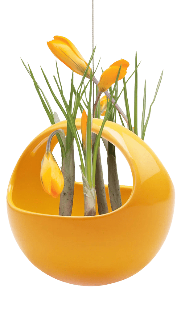 Hanging Aerium Ceramic For Succulents & Ikebana - Chive Ceramics Studio - Pots - Chive US