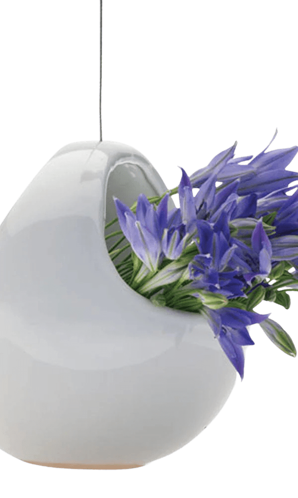 Hanging Aerium Ceramic For Succulents & Ikebana - Chive Ceramics Studio - Pots - Chive US