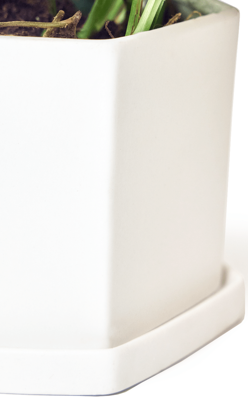 Hexi Porcelain Pot With Drainage Hole - Chive Ceramics Studio - Pots - Chive Ceramics Studio