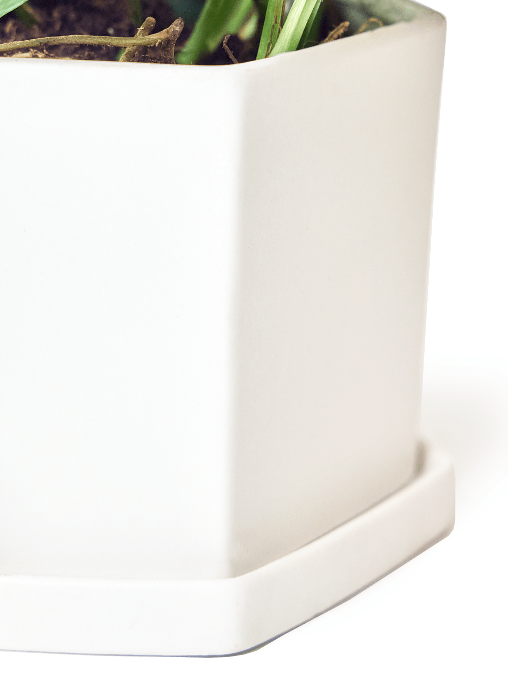 Hexi Porcelain Pot With Drainage Hole - Chive Ceramics Studio - Pots - Chive Ceramics Studio