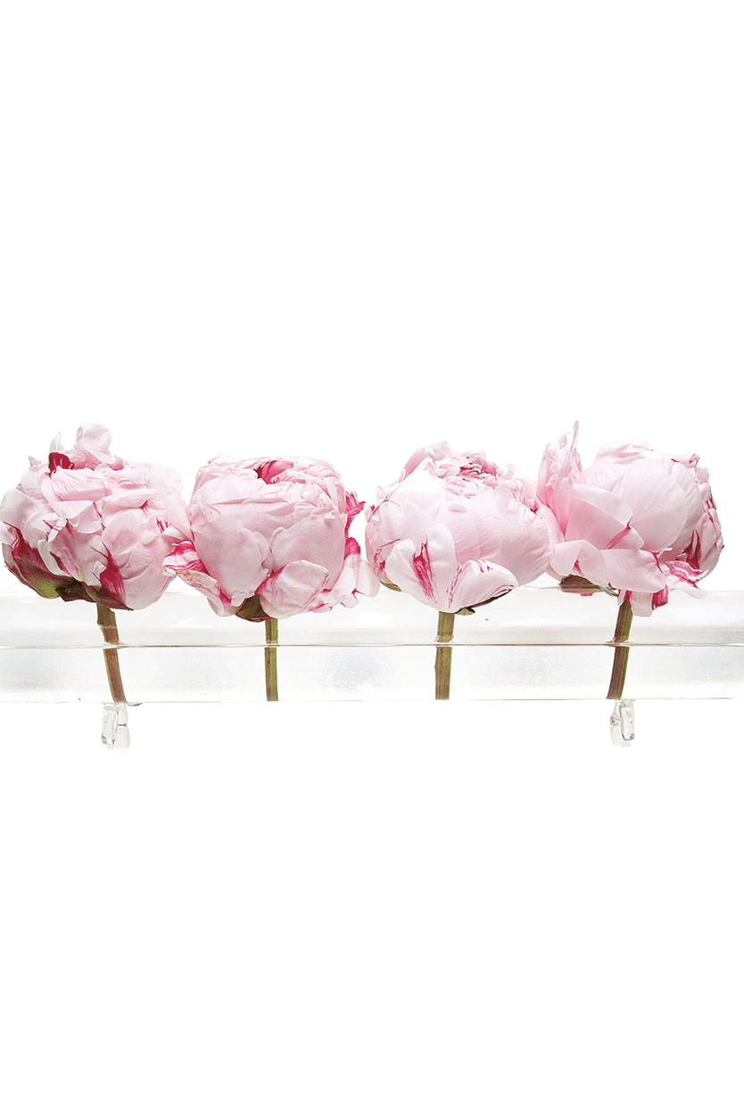 Flute Glass Modern Clear Flower Vase - Chive Ceramics Studio - Vases - Chive US