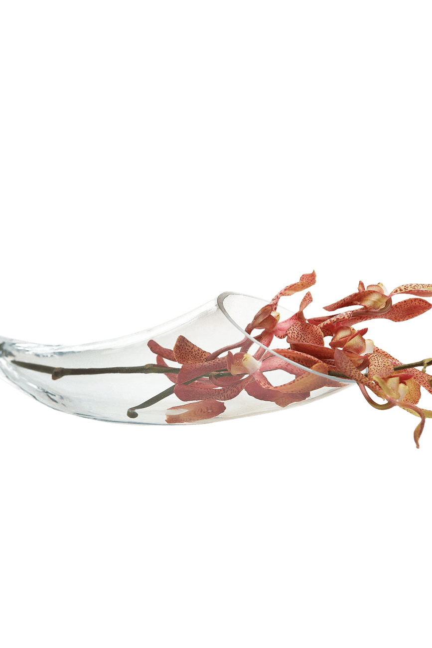 Horn Glass Modern Clear Flower Vase - Chive Ceramics Studio - Vases - Chive US