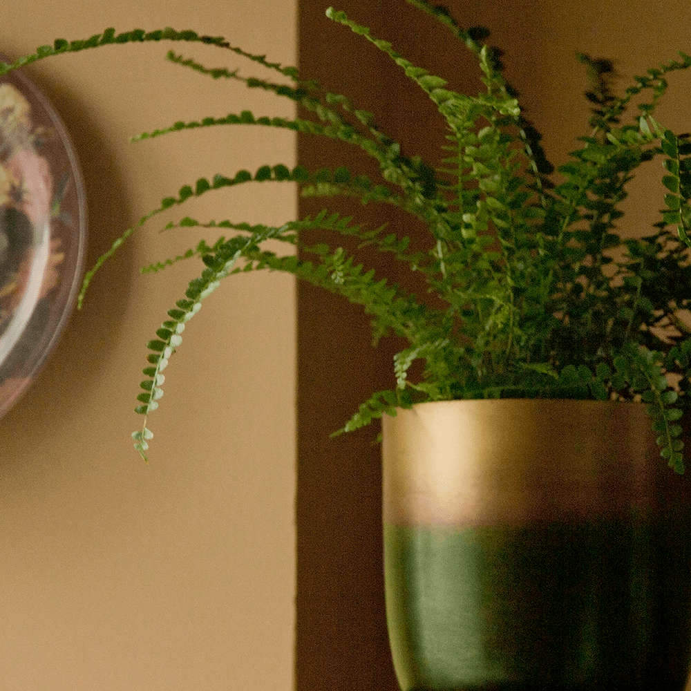 Joe Metal Pot With Drainage Hole | 7, 8, 10 & 12 inches - Chive Ceramics Studio - Pots - Chive Ceramics Studio