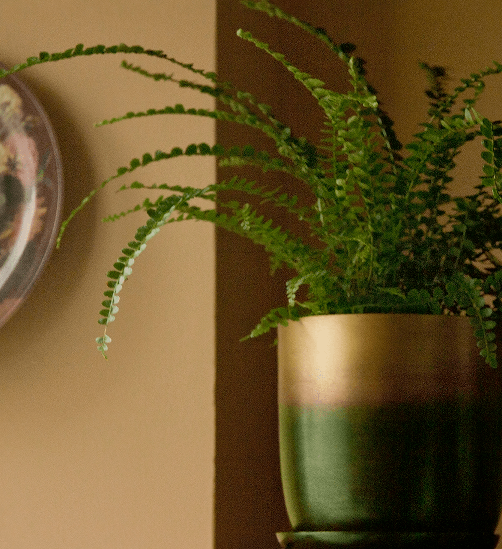 Joe Metal Pot With Drainage Hole | 7, 8, 10 & 12 inches - Chive Ceramics Studio - Pots - Chive Ceramics Studio