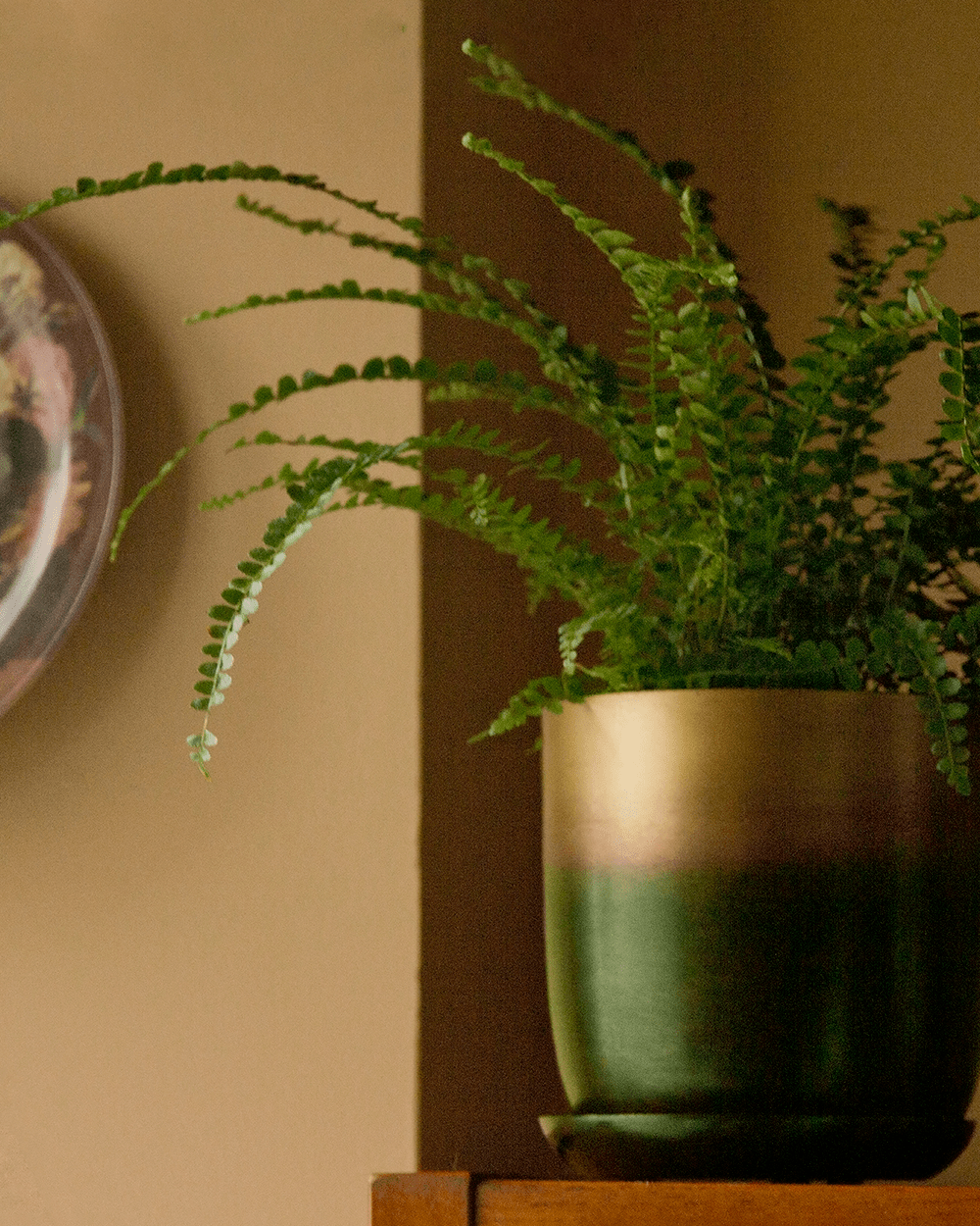 Joe Metal Pot With Drainage Hole | 7, 8, 10 & 12 inches - Chive Ceramics Studio - Pots - Chive Ceramics Studio