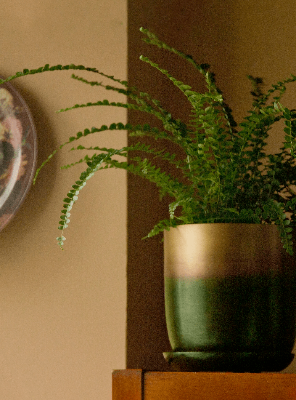 Joe Metal Pot With Drainage Hole | 7, 8, 10 & 12 inches - Chive Ceramics Studio - Pots - Chive Ceramics Studio