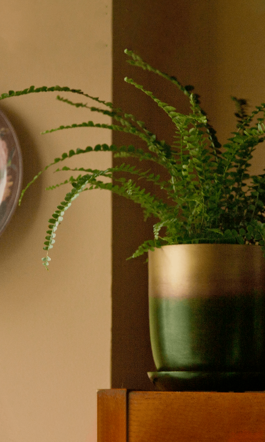 Joe Metal Pot With Drainage Hole | 7, 8, 10 & 12 inches - Chive Ceramics Studio - Pots - Chive Ceramics Studio