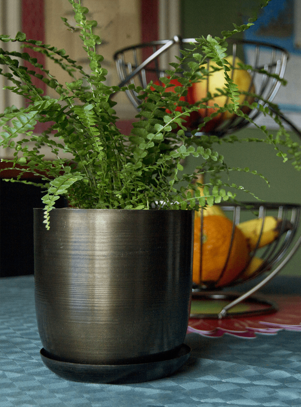 Joe Metal Pot With Drainage Hole | 7, 8, 10 & 12 inches - Chive Ceramics Studio - Pots - Chive Ceramics Studio