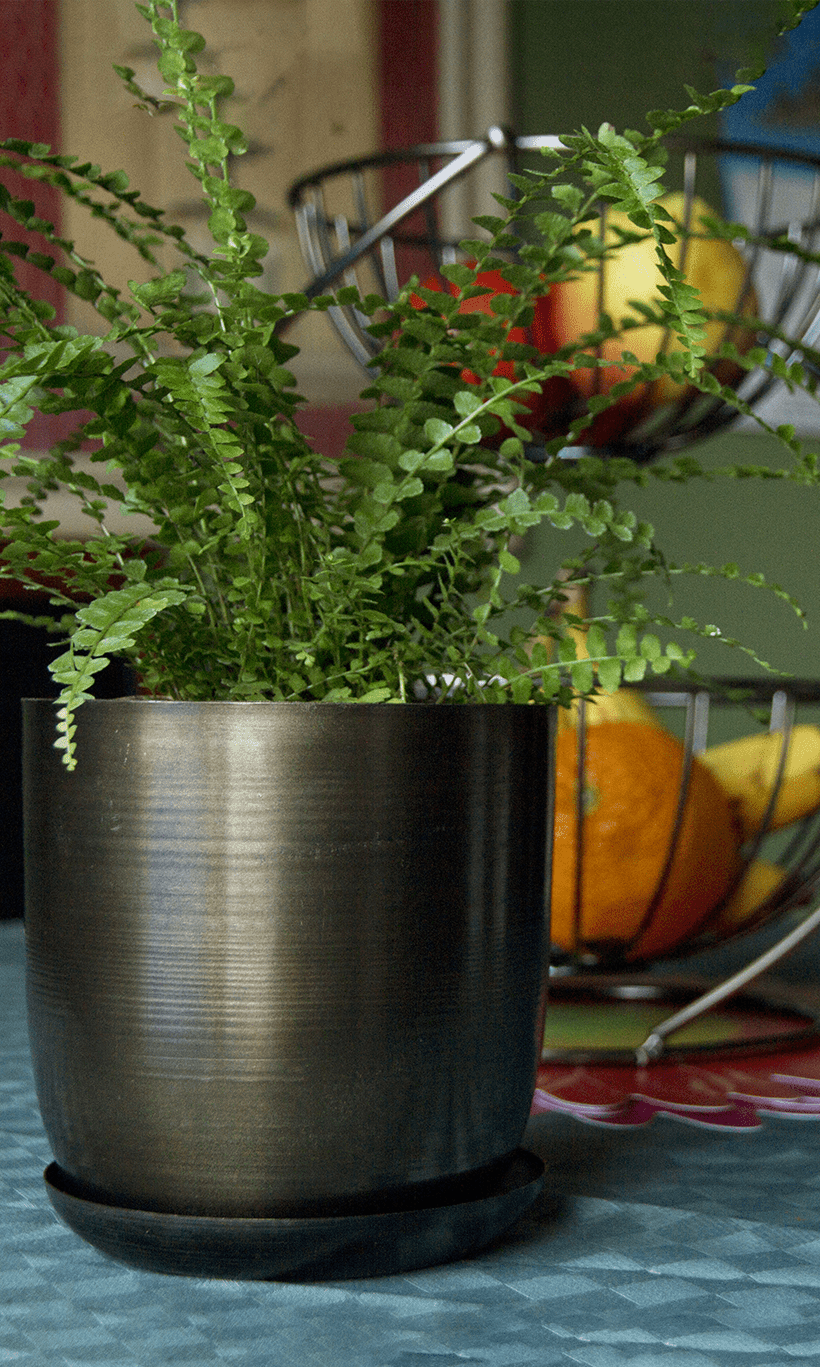 Joe Metal Pot With Drainage Hole | 7, 8, 10 & 12 inches - Chive Ceramics Studio - Pots - Chive Ceramics Studio